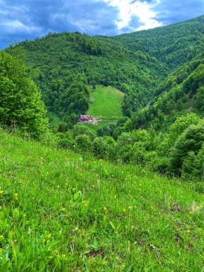 Pensiunea Valea Râsului